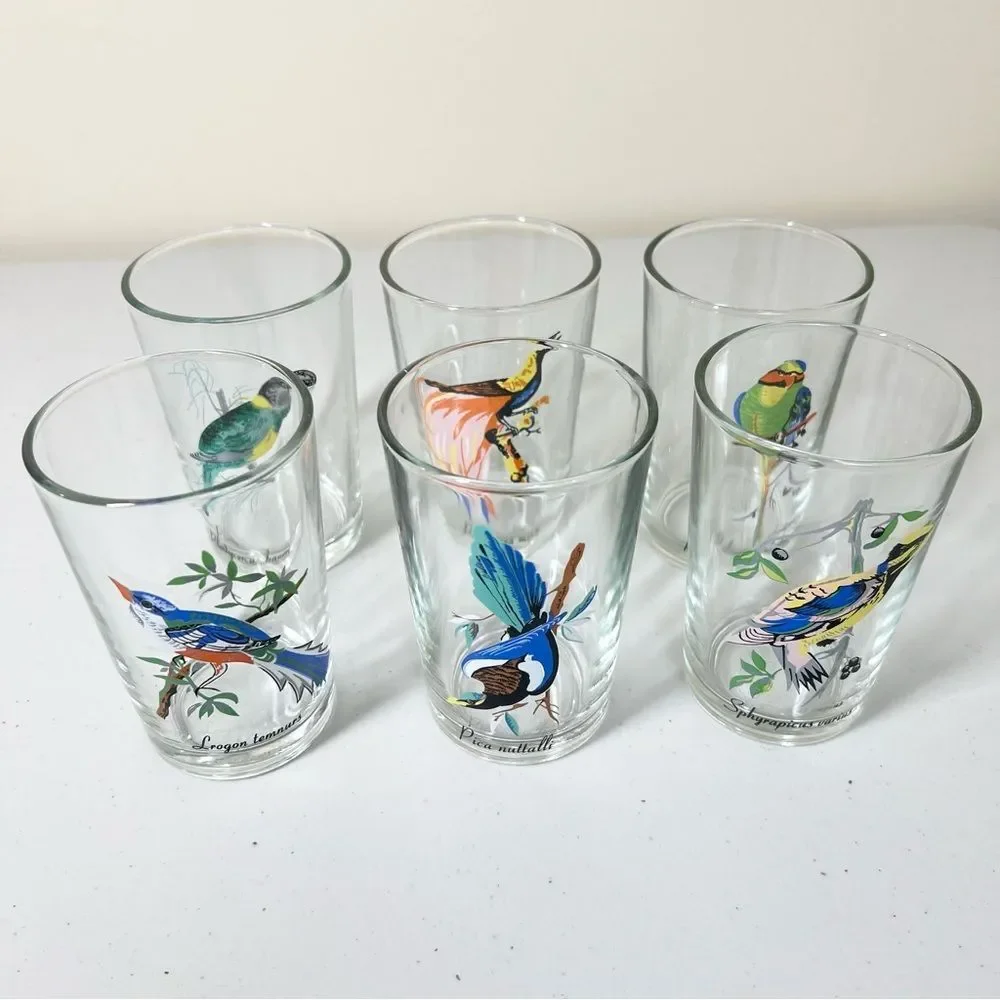 VTG 60’s Kig Malaysia Exotic Tropical Bird Glasses Set of 6